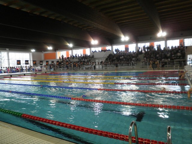 2a Manifestazione Regionale Invernale diCategoria Stadio del Nuoto Frosinone Casaleno 22.01.2012 [1280x1024]